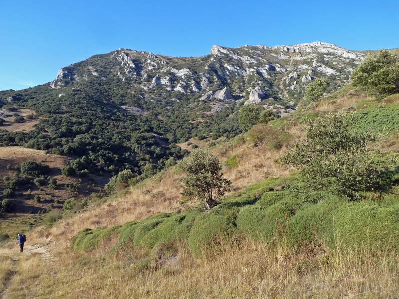 Foto Día 25 Cubilla de la Sierra – Peña El Buey (1.230 m) – La Verdina (1.352 m) – Monte Cimero (1.348 m) – Cantoña (1.353 m) – Peña Maya (1.309 m) – Miraveche (mañanera)